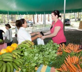 Alexandre Lombardi_2014_09_28_feira orgânicos (4)