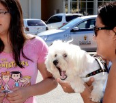 2016-01-26, Castração de Cães e Gatos no Pq.dos Espanhóis ft Zaqueu Proença 001 (6)
