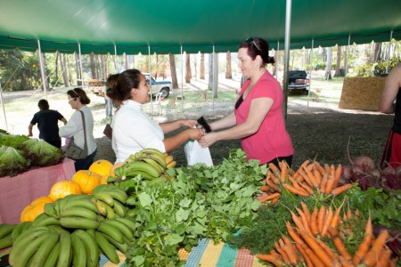 alexandre-lombardi20140928feira-organicos-4-970x647