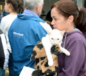 2015-08-25-mutiro-promove-a-castraco-de-ces-e-gatos-ft-zaqueu-proenca-066-51