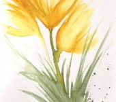 marcos gomes - flores 01