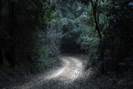 2013-08-16-pq-de-biodiversidadeplano-de-manejo-ft-zaqueu-proenca-071-1