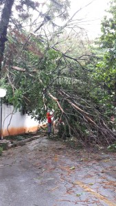 090f4ab5-65a1-4508-a798-8db701c0143a