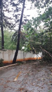 65e25927-d545-46ae-96d5-c54ca8bcda67