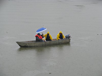 Pesquisa Saae-Unesp 1